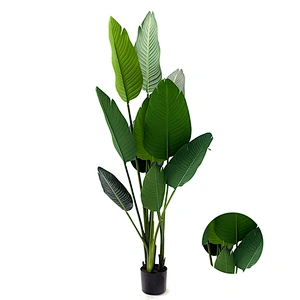Artificial Tree Highly New Style Banana Tree Varigata Ornamental Banana Tree Plant