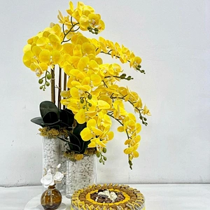 High quality  real  touch feel colorful artificial orchid flower plastic/ceramic pots