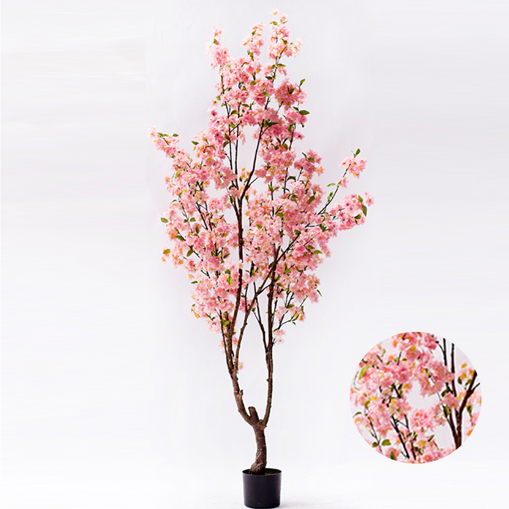 Natural Decorative Bonsai Cherry Blossom Tree Quickly Delivery Wedding Pink Blossom Tree