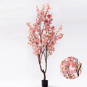 Natural Decorative Bonsai Cherry Blossom Tree Quickly Delivery Wedding Pink Blossom Tree