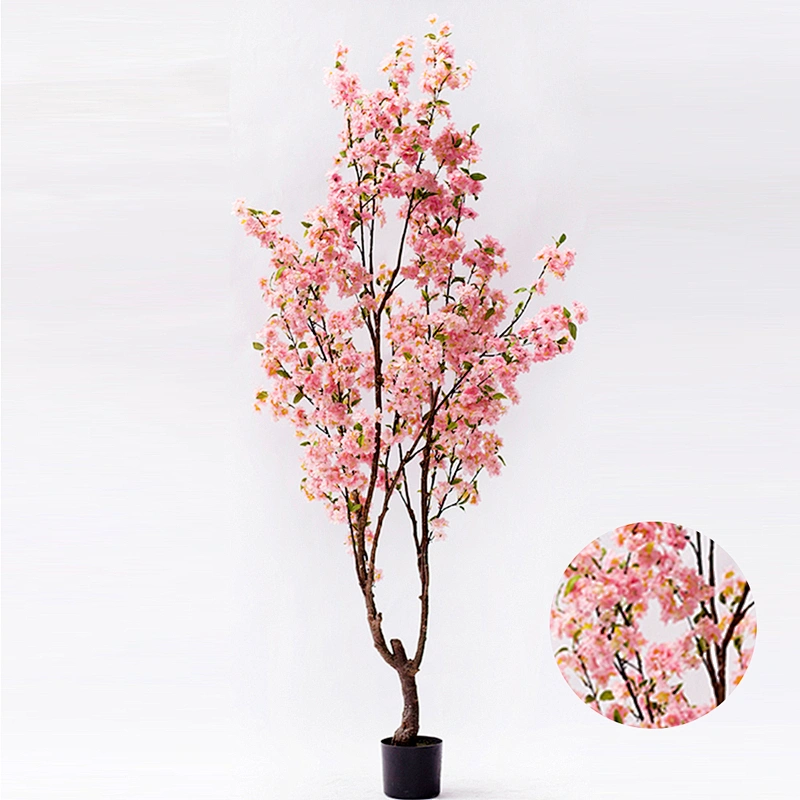 Natural Decorative Bonsai Cherry Blossom Tree Quickly Delivery Wedding Pink Blossom Tree
