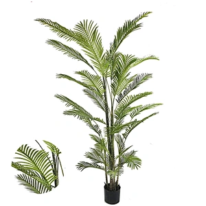 Hotel Wedding Fiber Plants Top Quality Areca Palm Trees And Plants Balcony Outdoor Areca Palm