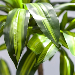 Vivid Business Office Dry Artificial Plants Dracaena Lifelike Bonsai Forest Dracaena
