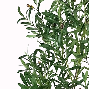 New Style Natural Touch Artificial Oliver Tree Plant Floor-To-Ceiling Artificial Oliver Tree In The Living Room