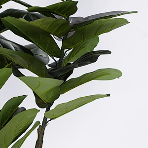 Wholesale New Design Plastic Succulent Artificial Lyrata Fiddle Plants Trees Houseplants Greenery Fiddle Plant
