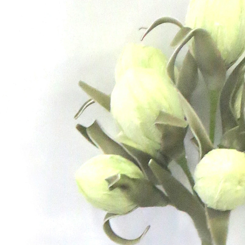 New Design arts and crafts foam flowers wedding gifts and home foam flowers on sale