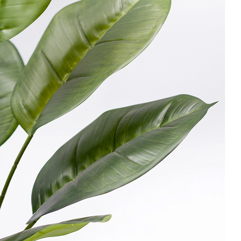 Most Popular Greenery Plant Artificial Scindapsus Aureus Dried Garden Scindapsus Aureus For Living Room Decoration