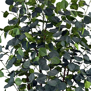 indoor eucalyptus display trees artificial tree branches and leaves eucalyptus greenery artificial eucalyptus on sale