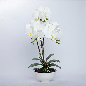 Home Decoration Orchid Branch Artificial Phalaenopsis Flowers Butterfly Orchid For Sale