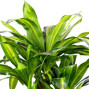 Artificial Trees Evergreen Forest Dracaena Beautiful Dracena Odorant For Living Room Decoration