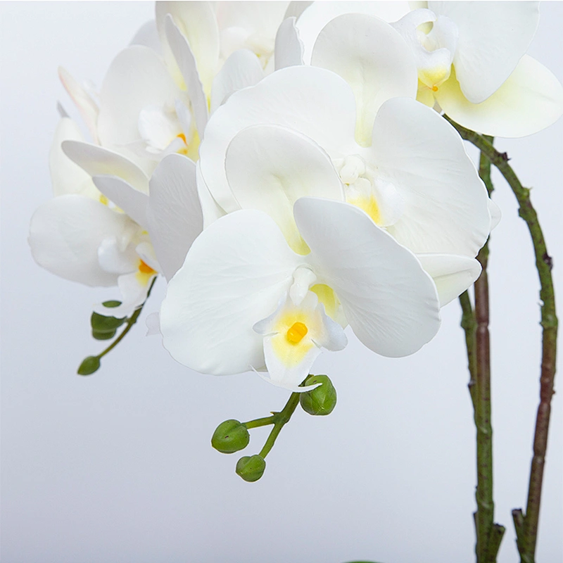 Home Decoration Orchid Branch Artificial Phalaenopsis Flowers Butterfly Orchid For Sale