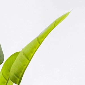 Nearly Natural home artificial scindapsus aureus plant artificial  scindapsus aureus for wedding decoration