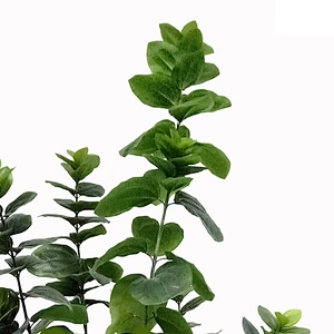 Hot Sale Factory Price Height 2.2m Green Artificial Tree Artificial Plants For Decoration