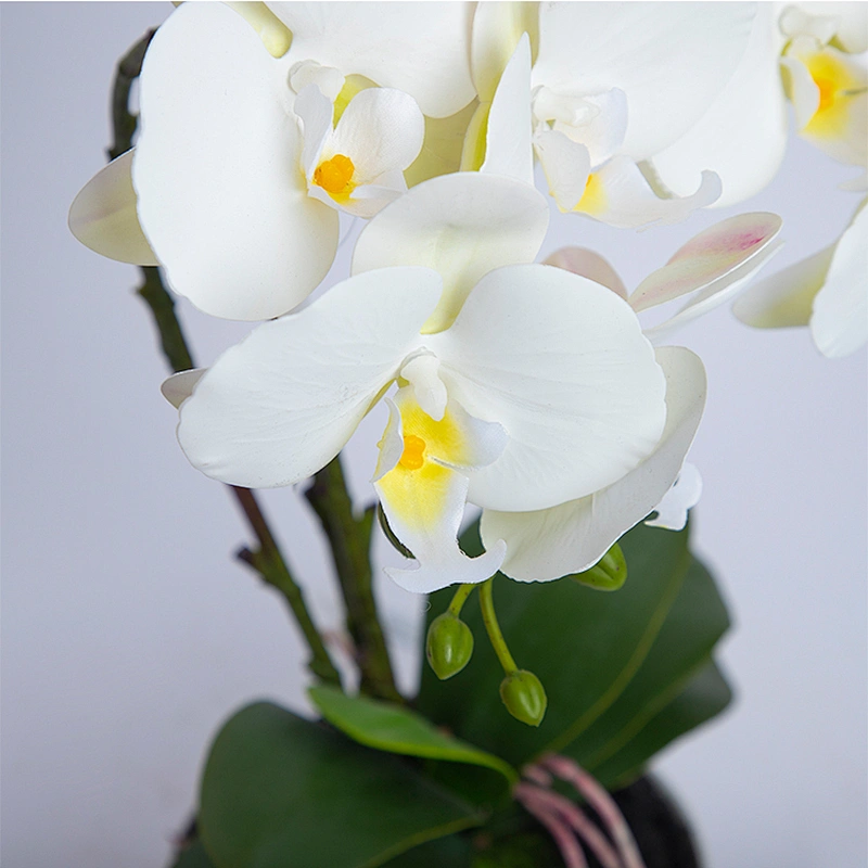 Home Decoration Orchid Branch Artificial Phalaenopsis Flowers Butterfly Orchid For Sale