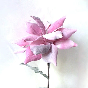 Popular Vivid Customized Oasis Plant Foam Arts And Crafts Foam Blossom Foam Flowers With Stem