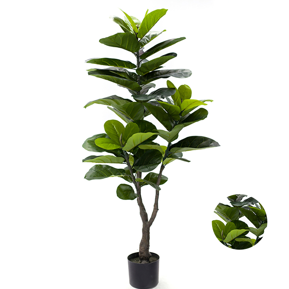 High Simulation Landscaping Fiddle Leaf Tree Plant  Nice Design Fiddle Leaf Fig Tree Plants