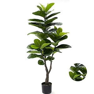 High Simulation Landscaping Fiddle Leaf Tree Plant  Nice Design Fiddle Leaf Fig Tree Plants