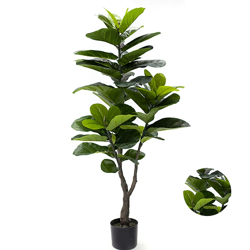High Simulation Landscaping Fiddle Leaf Tree Plant  Nice Design Fiddle Leaf Fig Tree Plants