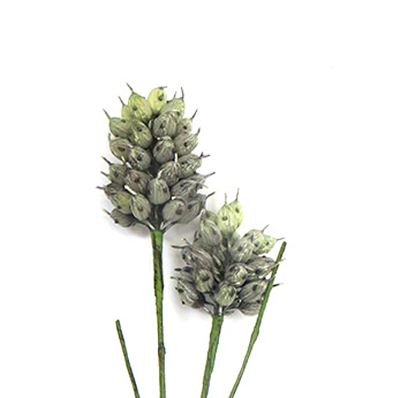 Gifts And Decorations Foam Plant Foam Flowers Ornamental Handy Carfts Foam Blossom With Stem