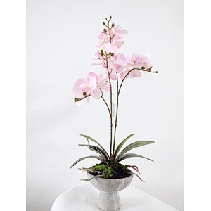 High Quality Artificial Latex Flowers artificial Orchid flower Artificial Real Touch Orchid plant