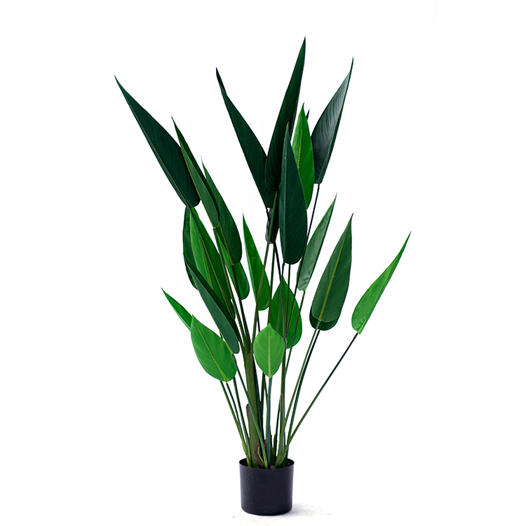 Ornamental Factory Wholesale Price Hot Sale Artificial Strelitzia Evergreen Beautiful Strelitzia Plant