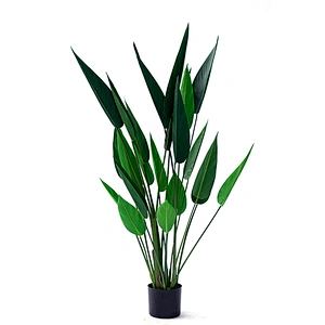 Ornamental Factory Wholesale Price Hot Sale Artificial Strelitzia Evergreen Beautiful Strelitzia Plant
