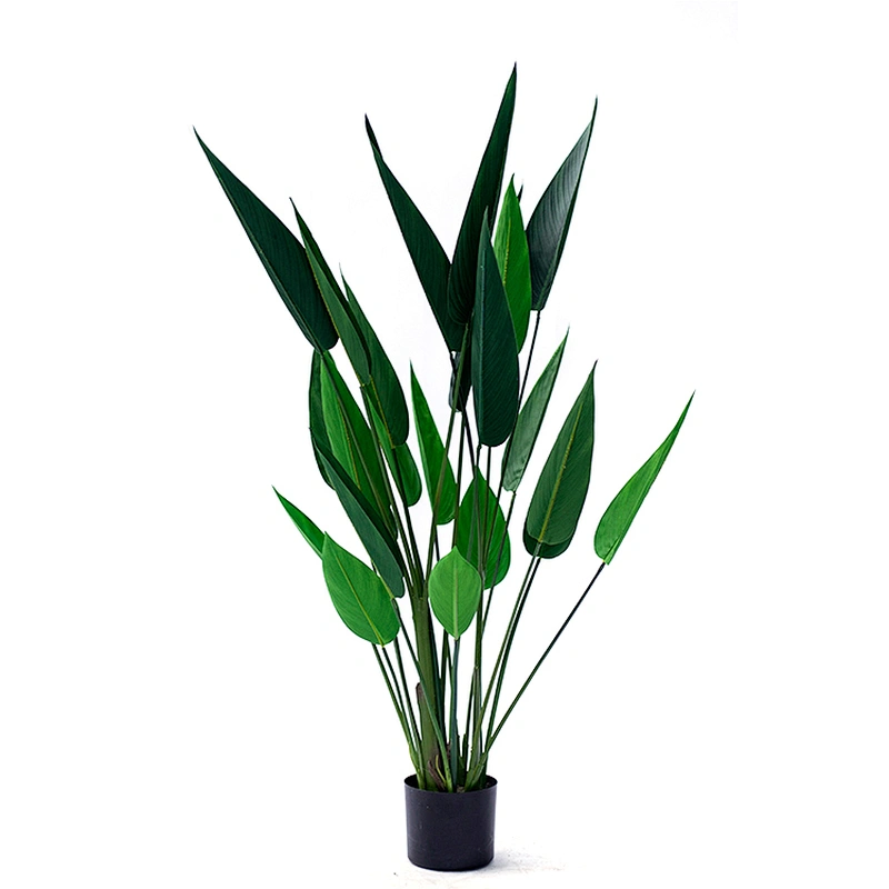 Ornamental Factory Wholesale Price Hot Sale Artificial Strelitzia Evergreen Beautiful Strelitzia Plant