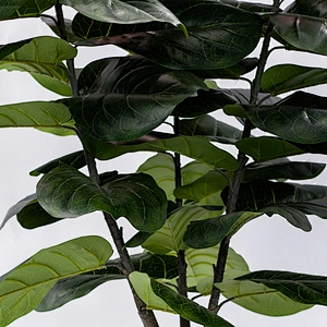 Artificial Silk Plastic Fiddle Plant New Design Indoor Decor Fiddle Leaf Fig Tree Plant