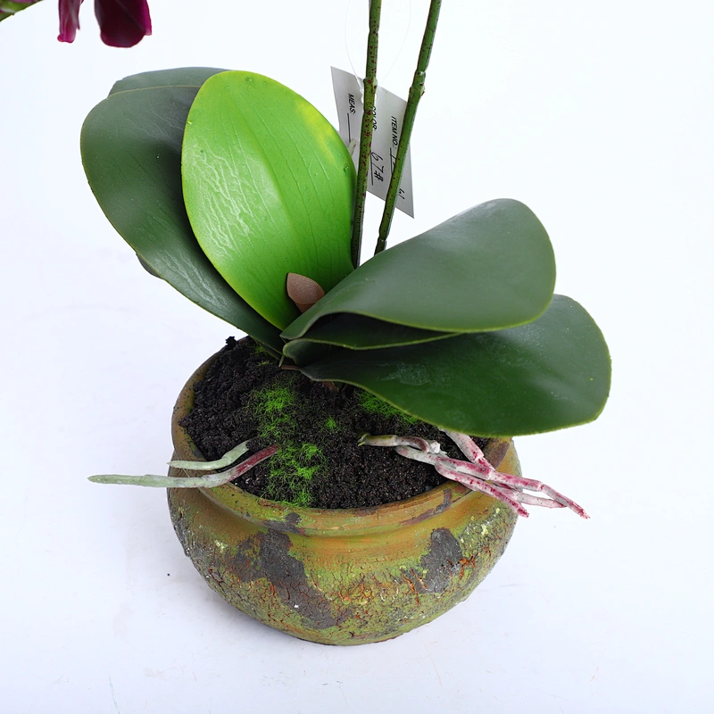 Factory Supply Artificial Flowers Faux Water Cymbidium Butterfly Orchid For Home Decoration