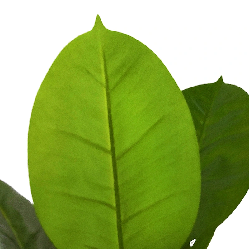 factory make real touch artificial greenery scindapsus aureus plant green artificial scindapsus aureus