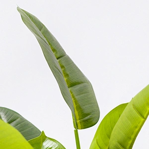 Nearly Natural home artificial scindapsus aureus plant artificial  scindapsus aureus for wedding decoration