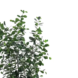 New Design Garden Artificial Plants Ficus Trees indoor ficus trees Artificial  banyan tree