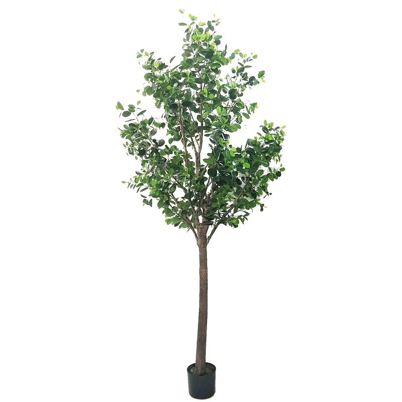 High Quality  Decorative Ornamental Bonsai Plants Of  Ficus Garden Decoration Banyan Tree  Evergreen Foliage Plants