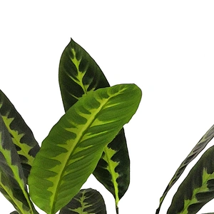 Factory price excellent quality artificial plant green artificial plant for home