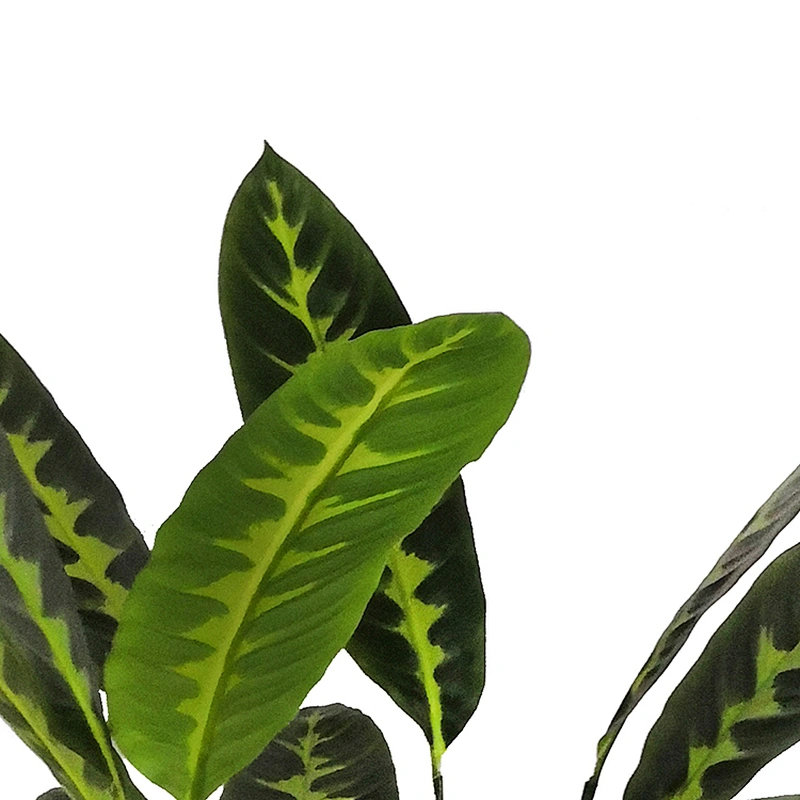 Factory price excellent quality artificial plant green artificial plant for home
