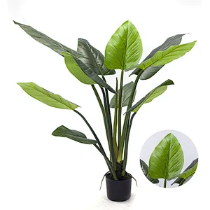 Factory price High quality philodendron plants artificial philodendra plant for sale