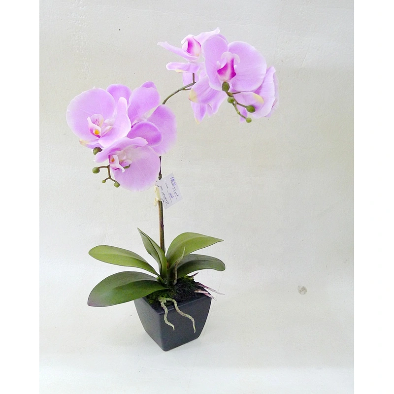 Hot sale Home table wedding decor real touch orchid flowers artificial  orchid flower/plant
