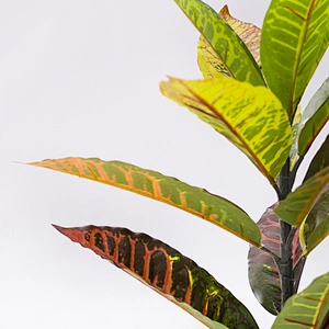 Factory Supply Artificial Plastic colored foliage artificial croton leaves plastic croton for sale