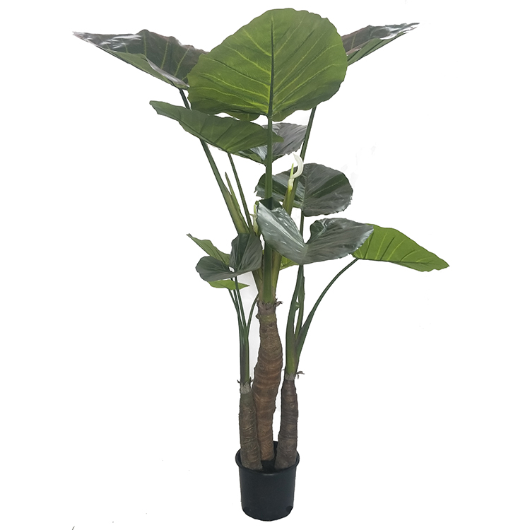 China Manufacturer Decorative TARO Green Tree Leaf For Home Decorate
