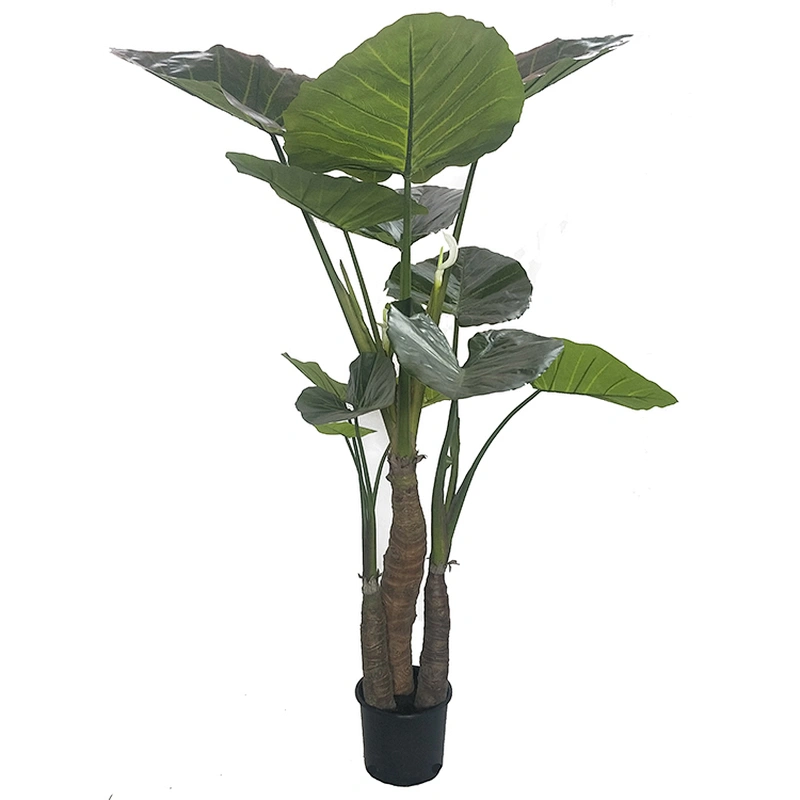 China Manufacturer Decorative TARO Green Tree Leaf For Home Decorate