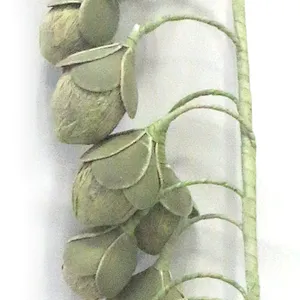 Factory Manufacture Colorful Plant Foam Flower Gifts And Home Silk Artificial Foam Flower
