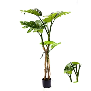Decorative Varigata Plam Tree Ornamental Monstera Plate Monstera Leaf  For Home Office