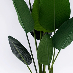 Free Samples Indoor Banana Tree Artificial Cheap Home Outdoor Decorative Banana Tree