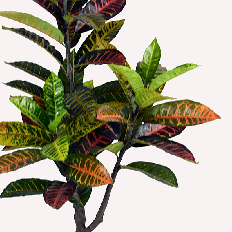 Factory Supply Greenery Ornamental Codiaeum Artificial Croton Leaves Home Artificial Bonsai Tree cColored Foliage