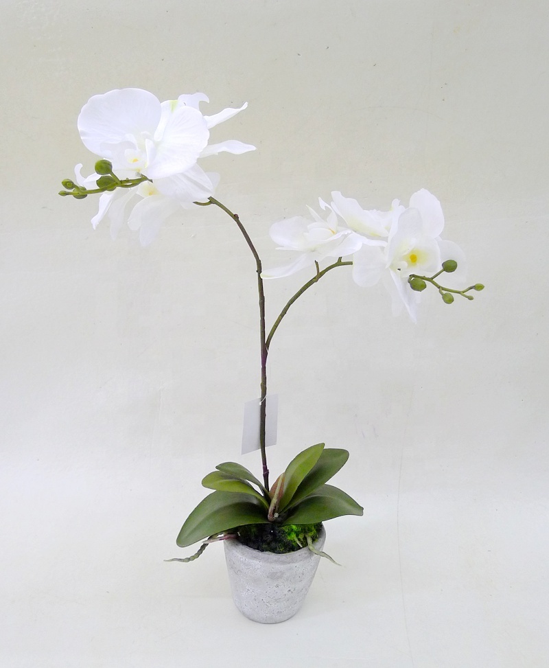 High quality  real  touch feel colorful artificial orchid flower plastic/ceramic pots