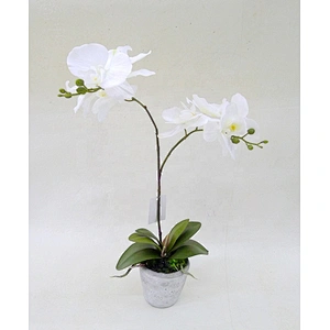 High quality  real  touch feel colorful artificial orchid flower plastic/ceramic pots