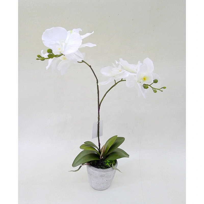 High quality  real  touch feel colorful artificial orchid flower plastic/ceramic pots