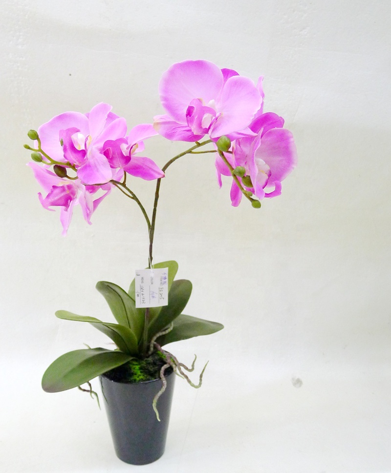 Hot sale Home table wedding decor real touch orchid flowers artificial  orchid flower/plant