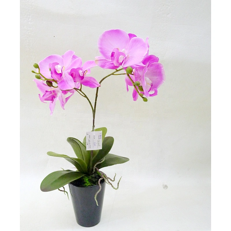 Hot sale Home table wedding decor real touch orchid flowers artificial  orchid flower/plant
