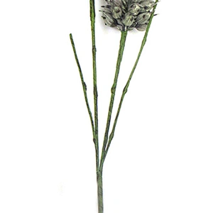 Gifts And Decorations Foam Plant Foam Flowers Ornamental Handy Carfts Foam Blossom With Stem
